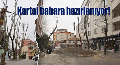 Kartal'da bahara hazırlık için binlerce ağaç budandı