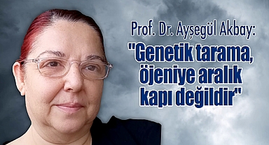 Prof. Dr. Ayşegül Akbay: