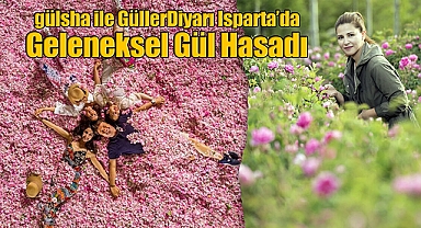 gülsha ile Güller Diyarı Isparta'da Geleneksel Gül Hasadı