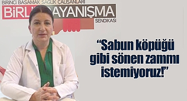 Birlik ve Dayanışma Sendikası: