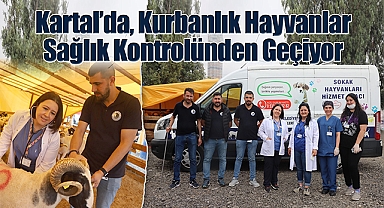 Kartal'da, Kurbanlık Hayvanlar Sağlık Kontrolünden Geçiyor