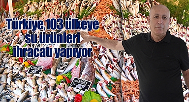 2023'ün ilk yarısında 25 milyon 706 bin dolar su ürünleri ihracatı yapıldı