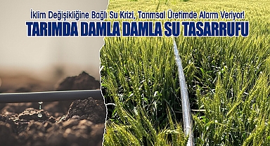 İklim Değişikliğine Bağlı Su Krizi, Tarımsal Üretimde Alarm Veriyor! Tarımda Damla Damla Su Tasarrufu