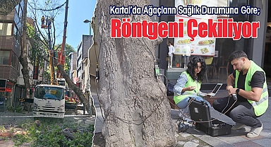 Kartal Belediyesi'nden Çevre ve İnsan Odaklı Uygulama: Akustik Tomografi Yöntemiyle Ağaçların Röntgeni Çekiliyor