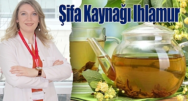 Şifa Kaynağı Ihlamurun 5 Önemli Faydası
