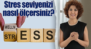 Stres seviyenizi nasıl ölçersiniz?
