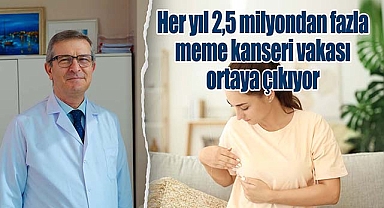 Her yıl 2,5 milyondan fazla meme kanseri vakası ortaya çıkıyor