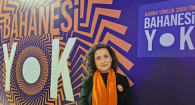 Kadına yönelik şiddetle mücadelede kurumlar arası işbirliği şart