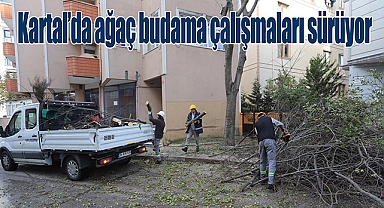 Kartal'da Ağaç Budama Çalışmaları sürüyor