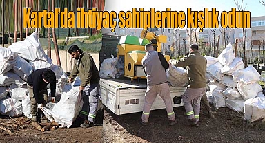 Kartal'da Budanan Ağaç Dalları İhtiyaç Sahiplerine Yakacak Oluyor
