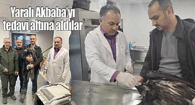 Kartal Belediyesi Veteriner İşleri Müdürlüğü Ekipleri Yaralı Akbaba'yı tedavi altına aldı