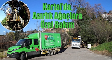 Kartal'da, Asırlık Ağaçlara Özel Bakım