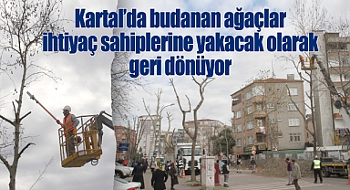 Kartal'da budanan ağaçlar ihtiyaç sahiplerine yakacak olarak geri dönüyor
