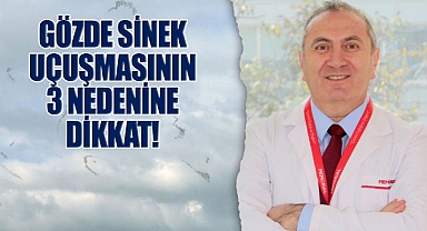 Gözde Sinek Uçuşmasının 3 Nedenine Dikkat!