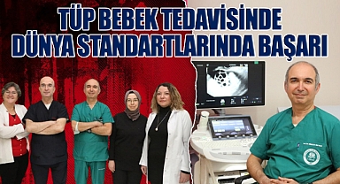 Tüp Bebek Tedavisinde Dünya Standartlarında Başarı