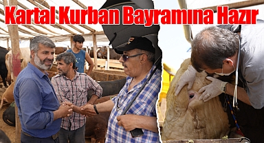 Kartal'da Kurban Satış ve Kesim Alanları Bayrama Hazır