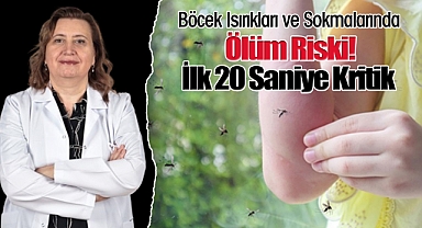 Böcek Isırıkları ve Sokmalarında Ölüm Riski! İlk 20 Saniye Kritik