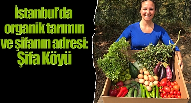 İstanbul'da organik tarımın ve şifanın adresi: Şifa Köyü