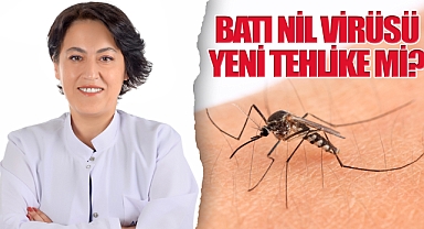 Batı Nil Virüsü Yeni Tehlike mi?