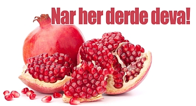 Hangi Bitki Kansere İyi Geliyor?