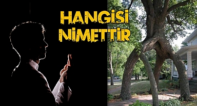 Hangisi Nimettir?