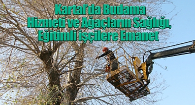 Kartal'da Budama Hizmeti ve Ağaçların Sağlığı, Eğitimli İşçilere Emanet