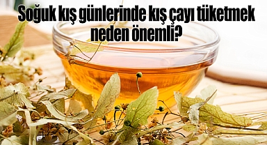 Soğuk kış günlerinde kış çayı tüketmek neden önemli?