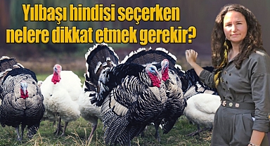 Yılbaşı hindisi seçerken nelere dikkat etmek gerekir?