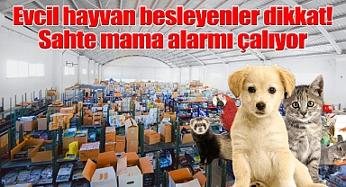 Evcil hayvan besleyenler dikkat! Sahte mama alarmı çalıyor
