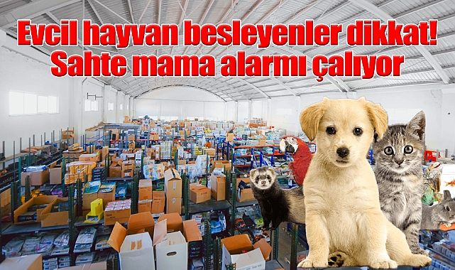Evcil hayvan besleyenler dikkat! Sahte mama alarmı çalıyor