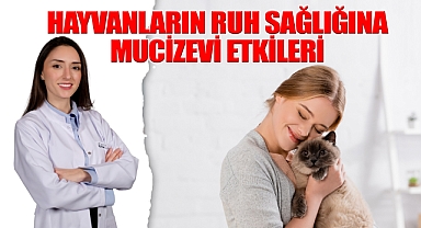 Hayvanların Ruh Sağlığına Mucizevi Etkileri