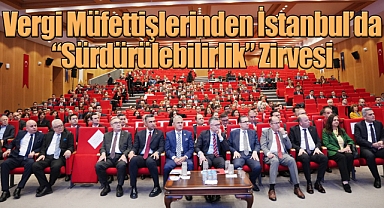 Vergi Müfettişlerinden İstanbul'da