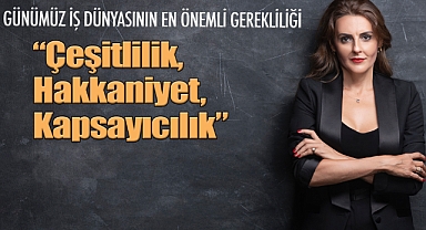 DEI Akademisi Başlıyor