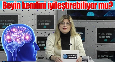Beynin Kendini İyileştirme Yeteneği Öğrenme Güçlüğüne Umut Oluyor