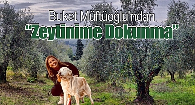 Müftüoğlu'ndan 'Zeytinime Dokunma': Doğaya ve ranta karşı ses veren eser büyük yankı uyandırdı
