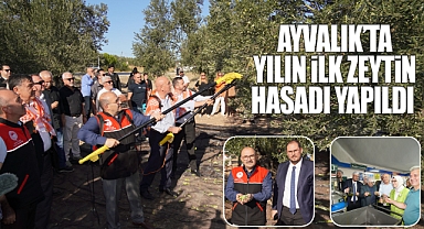 Ayvalık'ta Yılın İlk Hasadı Yapıldı