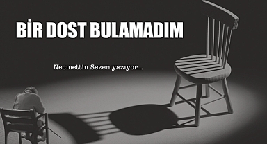 Bir Dost Bulamadım!