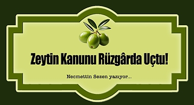 Zeytin Kanunu Rüzgârda Uçtu! Bir Ağaç, Bir Yasa ve Sessizliğin Çığlığı