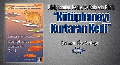 Kütüphaneler, Kediler ve Kalplerin Gücü: