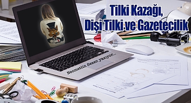 Tilki Kazağı, Dişi Tilki ve Gazetecilik