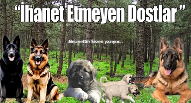 İhanet Etmeyen Dostlar