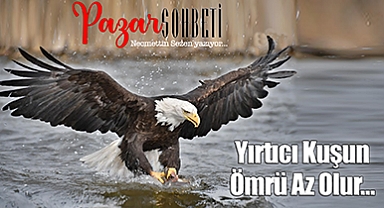 Yırtıcı Kuşun Ömrü Az Olur…