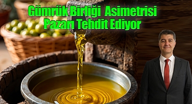 Türk Zeytinyağı İhracatında 