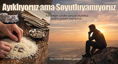 Ayıklıyoruz ama Soyutluyamıyoruz