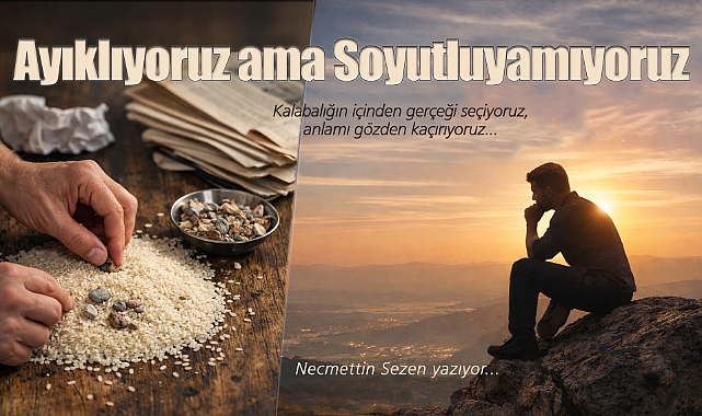 Ayıklıyoruz ama Soyutluyamıyoruz